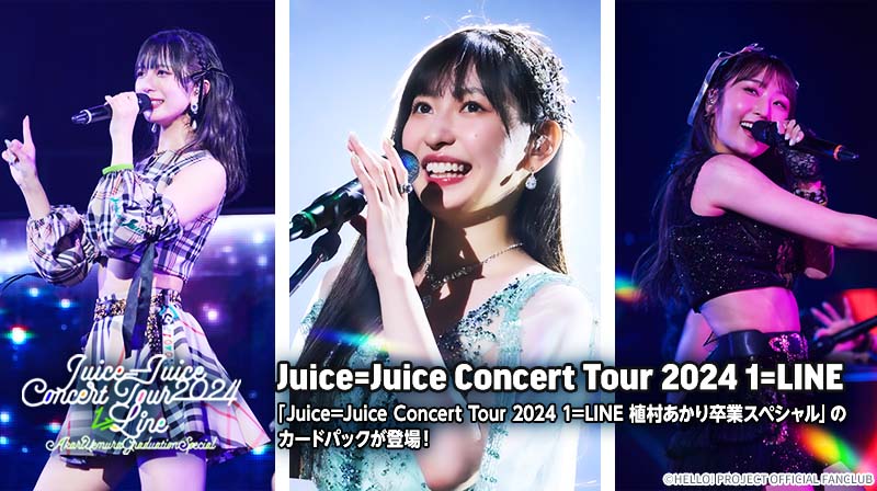 Apink トレカ　21枚セット　ファンミ　ペンミ　日本　コンサート Apink トレカ 21枚セット ファンミ ペンミ 日本 コンサート